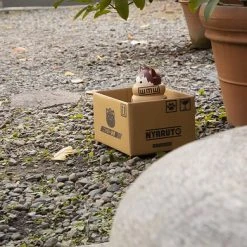 MEGAHOUSE Gaara Nyanto! The Big Nyaruto Series Naruto Shippuden Figure -Toy Model Cosplay Store 4535123830624 figure gaara nyanto the big nyaruto series naruto shippuden altf